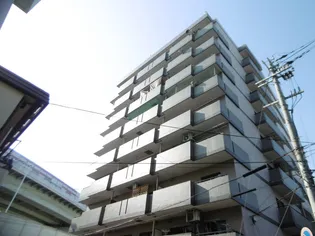 エルエムヒルズ平野の画像