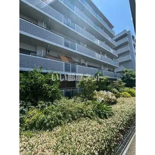 フェニックスロベニューの画像