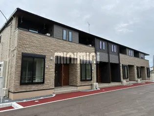 ステラートBの画像