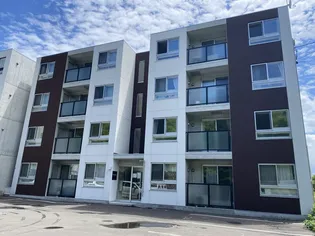 フォスカリーノの画像