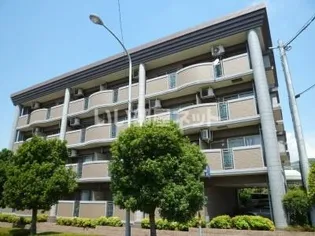 グランドコラムの画像