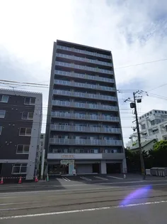 コートロティS15の画像