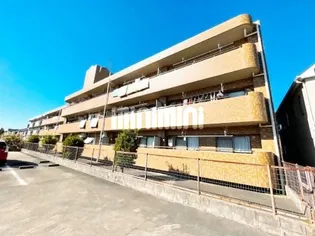 ステージ21の画像