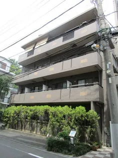 メゾン桜木【2階】の外観