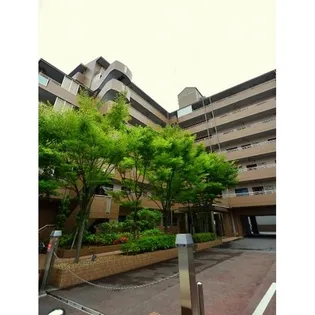 ハーヴィス カエロンの画像