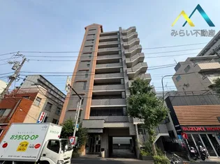 B PERSIMMONの画像