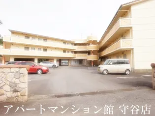 アイビス小絹Bの画像