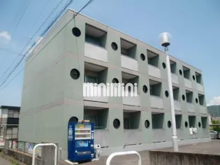 アメリアLコートの画像