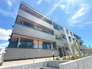 ガーベラ グレイスの画像