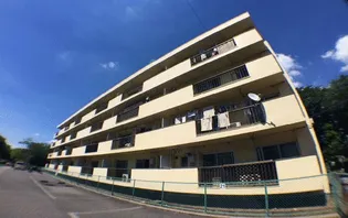 千葉県柏市あかね町【マンション】の間取り