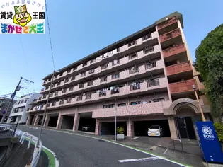 プレジール岩屋通りの画像