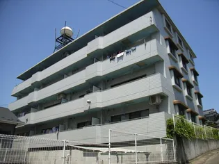 ツインヒルズA館【4階】の外観