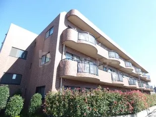 フォレスト ハサマの画像