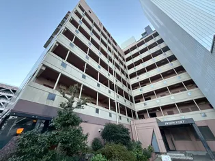 PIGEON VERTの画像