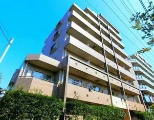 グッド フラットIIIの画像