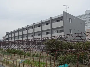 サクラーレの画像