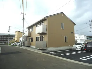 サンフラワーの画像