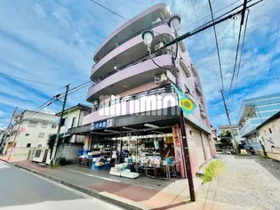 パプトゥリィローズ'95の画像