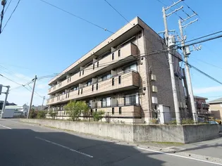 新潟県新潟市西区五十嵐2の町【アパート】の外観