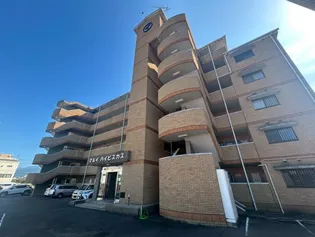 マルイハイビスカスの画像