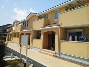 セレッソNの画像