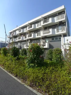 PLUMERIA大宮の画像