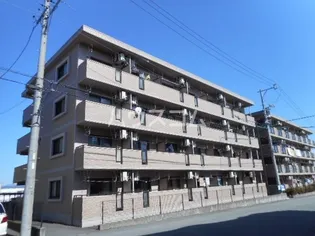 ブライトタイム Iの画像
