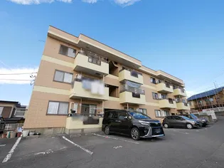 グレースフルの画像