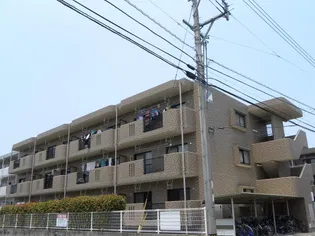 ユーミー青柳1号館の画像