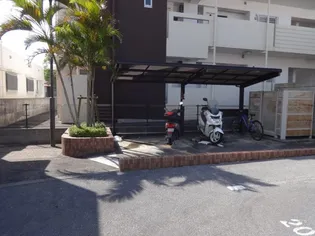 しまぶくの画像