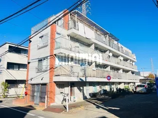 第13大宮ハイツの画像