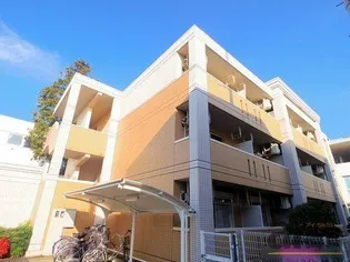 ワイズ パラシオンの画像