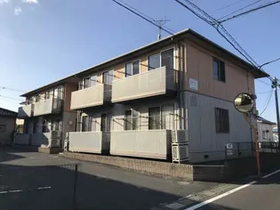 フラットMの画像
