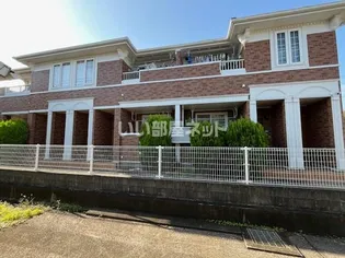 ブルー エールYの画像