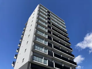 アルティザ水戸白梅の画像