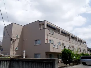 メゾンスターチスの画像