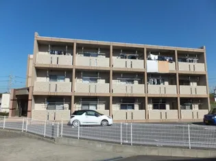 ヌーベル コリーヌⅡの画像