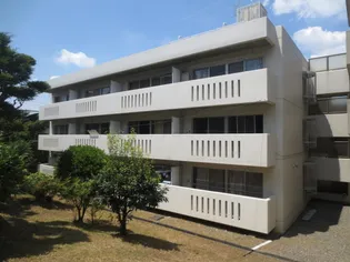 緑ヶ岡マンション【3階】の外観