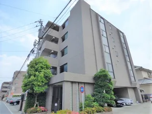 アクシスの画像