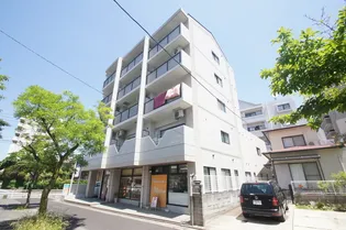 サンフラワー室見【3階】の外観