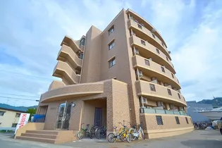 ライブコープ矢野の画像