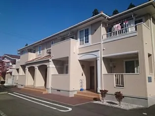 プリムローズの画像