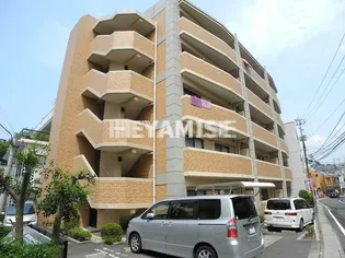 パラディヒラムネ1の画像