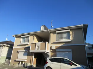 サザン五葉Aの画像