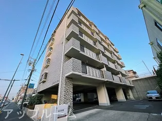 エルセリートオーテの画像