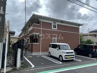 プリムローズの画像