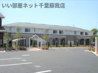 ヴァンベールの画像
