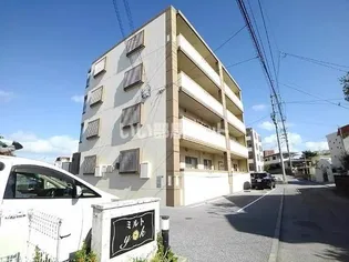 ミルト Y Kの画像