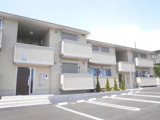 コトー Cの画像