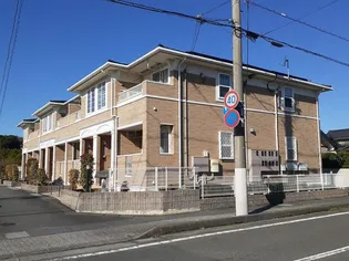 ベル メイプルの画像